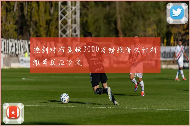 热刺对布莱顿3000万镑报价武什科维奇反应冷淡
