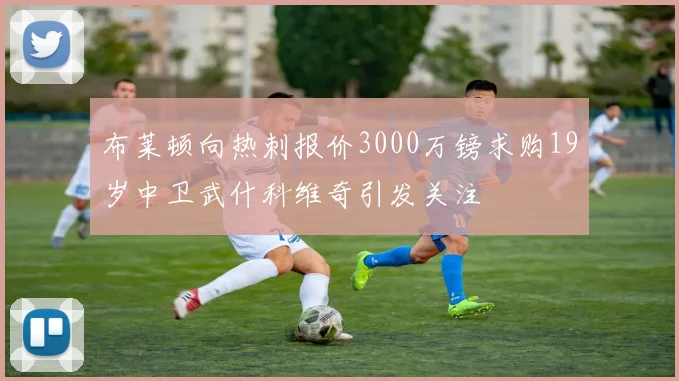 布莱顿向热刺报价3000万镑求购19岁中卫武什科维奇引发关注