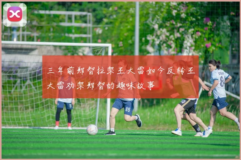 三年前郑智拉架王大雷如今反转王大雷劝架郑智的趣味故事